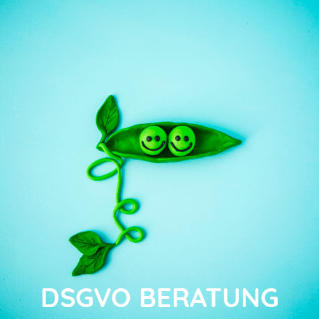 PelikanPublishing DSGVO Beratung